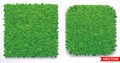 Green grass square pattern vector icon