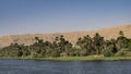 Green grass and tall palm trees grow on the banks of the Nile. Royalty Free Stock Photo