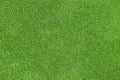 Green grass texture Royalty Free Stock Photo