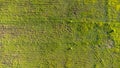 Green grass texture background. Aerial view from drone. Top view of the meadow Royalty Free Stock Photo