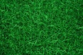 Green grass texture for background. Green lawn pattern and texture background. Top view of grass garden Ideal concept Royalty Free Stock Photo