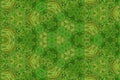 Green grass texture and background kaleidoscope shape Royalty Free Stock Photo