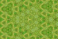 Green grass texture and background kaleidoscope shape Royalty Free Stock Photo