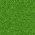 Green grass texture for background. Green lawn pattern and texture background. Close-up Royalty Free Stock Photo