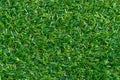 Green grass texture for background. Green lawn pattern and textu Royalty Free Stock Photo