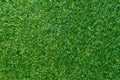 Green grass texture for background. Green lawn pattern and textu Royalty Free Stock Photo