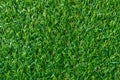 Green grass texture for background. Green lawn pattern and textu Royalty Free Stock Photo