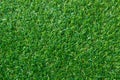 Green grass texture for background. Green lawn pattern and textu Royalty Free Stock Photo