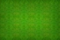 Green grass texture background for soccer sport or football sport and golf sport background. Royalty Free Stock Photo