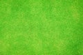 Green grass texture background.