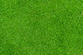 Green grass texture background, Top view of grass garden Ideal concept used for making green flooring, lawn for training football