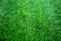 Green grass texture background, Top view of grass garden Ideal concept used for making green flooring, lawn for training football Royalty Free Stock Photo