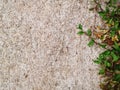 Green grass texture Crack with concert background Royalty Free Stock Photo