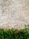 Green grass texture Crack with concrete background Royalty Free Stock Photo