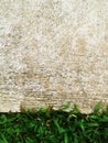 Green grass texture Crack with concrete background Royalty Free Stock Photo