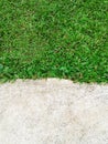 Green grass texture Crack with concrete background Royalty Free Stock Photo