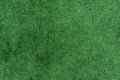 Green grass texture field Royalty Free Stock Photo