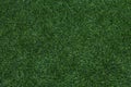 Green grass texture for golf course, soccer field or sports background. Concept design of Artificial green grass for design with Royalty Free Stock Photo