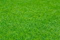 Green grass texture for golf course, soccer field or sports background. Concept design of Artificial green grass for design with Royalty Free Stock Photo