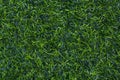 Green grass texture for golf course, soccer field or sports background. Concept design of Artificial green grass for design with Royalty Free Stock Photo