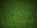 Green grass Texture.Green grass background.View of green grass.Grass texture of football.Fresh grass.
