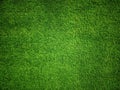 Green grass Texture.Green grass background.View of green grass.Grass texture of football.Fresh grass.