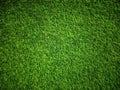 Green grass Texture.Green grass background.View of green grass.Grass texture of football.Fresh grass.