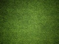 Green grass Texture.Green grass background.View of green grass.Grass texture of football.Fresh grass.