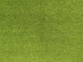 Green grass Texture.Green grass background.View of green grass.Grass texture of football.Fresh grass.