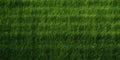 Green Grass Texture. Lush Green Grass Meadow Background. Top View Carpet or Lawn. Generative AI Royalty Free Stock Photo