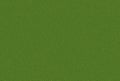 Green grass texture,seamless texture