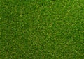 Green grass textured background for golf sport and soccer sport.