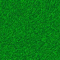 Green grass. Textured vector background