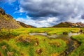 Green grass among the thermal springs