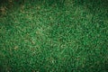 Green grass top view field texture pattern Royalty Free Stock Photo