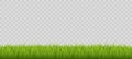 Green grass on transparent background. Realistic isolated object, spring summer lawn, meadow in park. Fresh botanical