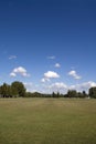 Green grass, trees and blue sky