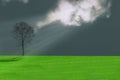 Green grass, trees, sky and clouds, rain, sunlight and beam. Abstract concept of nature. Royalty Free Stock Photo