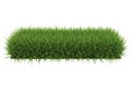 Green grass tuft isolated on white background Royalty Free Stock Photo
