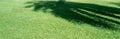 Green grass turf texture with tree shadow Royalty Free Stock Photo