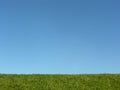 Green grass under blue sky Royalty Free Stock Photo