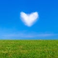 Green grass under blue sky and a heart shape cloud Royalty Free Stock Photo