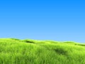Green Grass Under Clear Blue Sky
