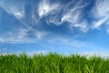 Green grass under sky with fleecy clouds Royalty Free Stock Photo