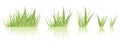 Green grass vector