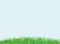 Green grass. Vector. Empty space for text or advertising