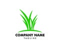 Green Grass vector Logo Template Royalty Free Stock Photo