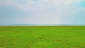 Green grass and water at the Pa Sak Jolasid Dam.