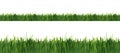 Green grass watercolor seamless border line