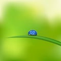 Green grass with waterdrop against blue sky